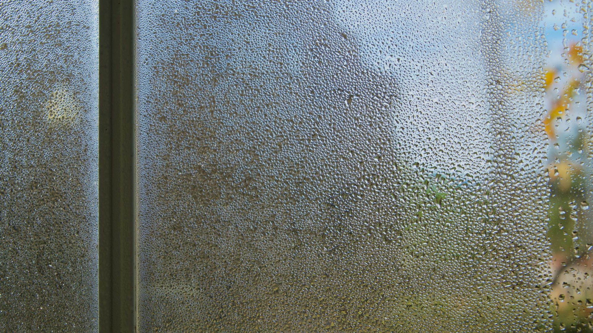 Window Condensation Inside: Causes and What the CR Rating Means